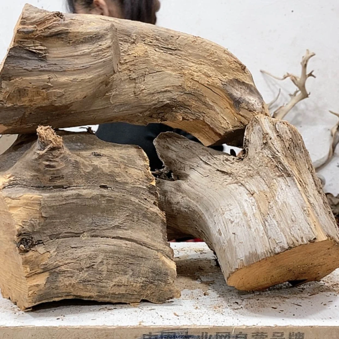 【闪购商品】柏木山*我们都是好孩子