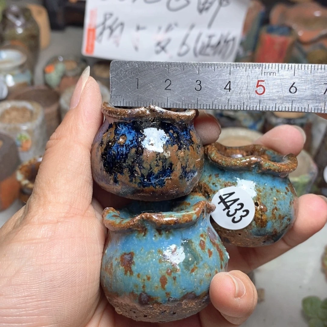 香**芙拍5送一个小礼物