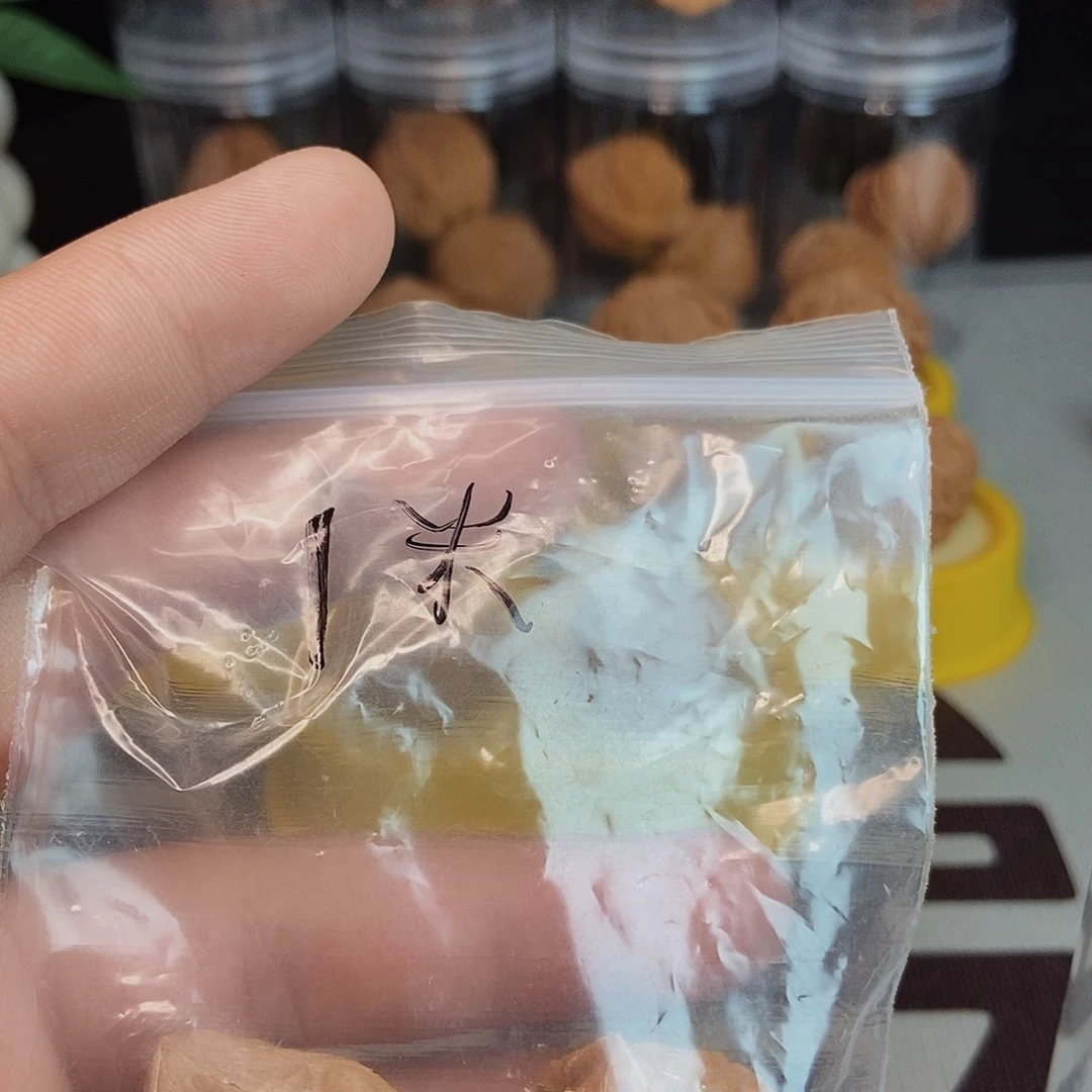 康*龙骨核桃手把件！！！！