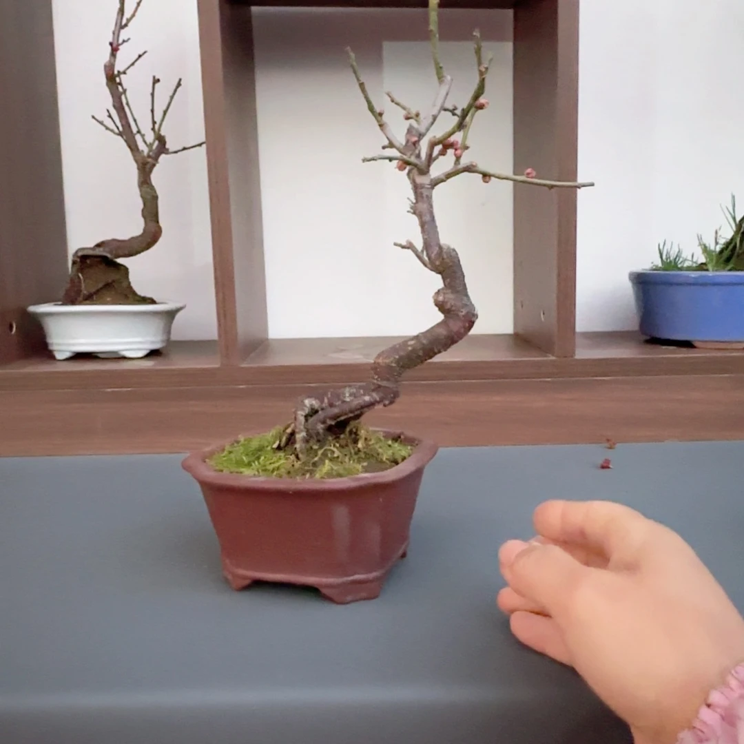 无铅玻璃王*ks v h n m k l