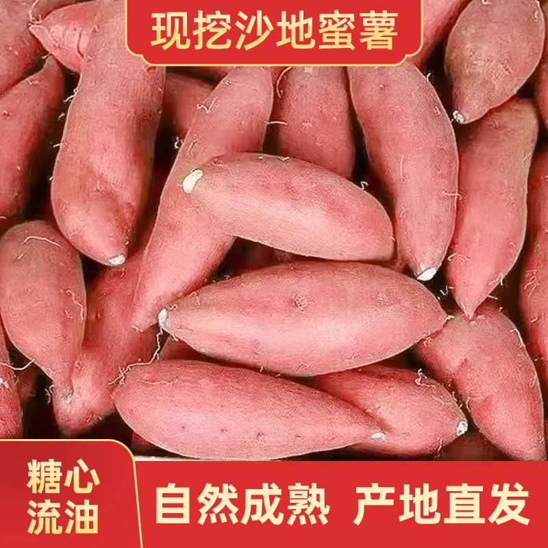 番薯地瓜蜜薯山东烟薯25号番薯地瓜蜜薯新鲜糖心沙地番薯地瓜蜜薯