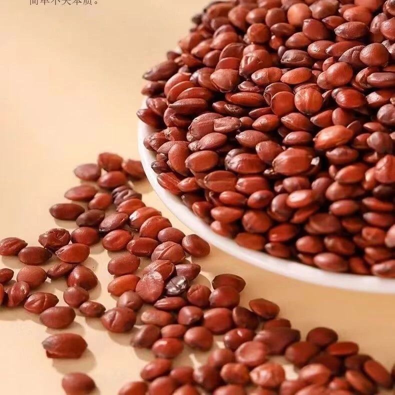 【三妹助农】现收山货（酸枣仁）50克起