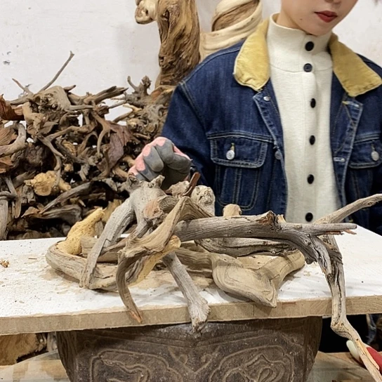 墨***-柏木我们都是好孩子