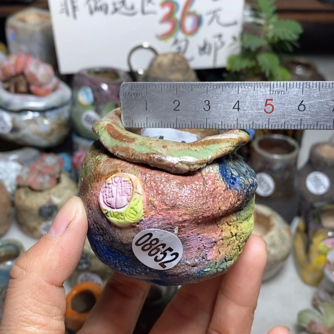 花盆拍3送一个小礼物