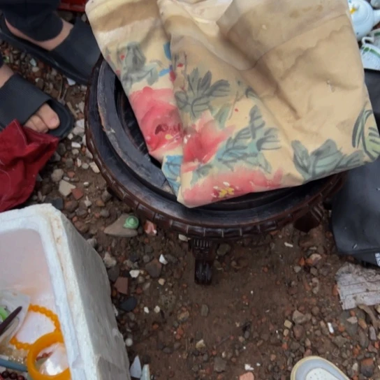 东***李杂色豆（科檀/科特迪瓦檀木）