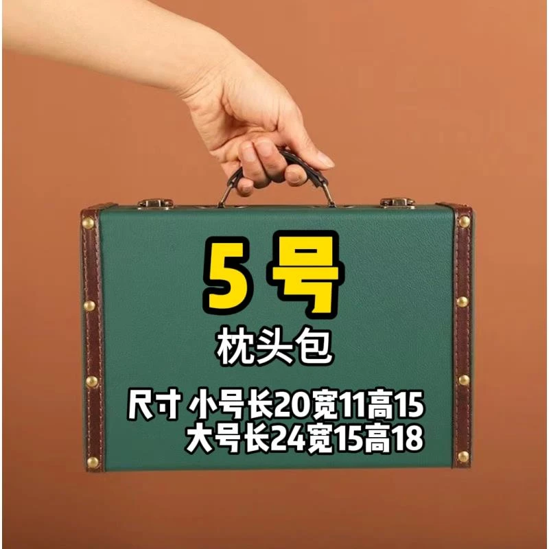 FD【5号】2025春夏新款时尚单肩网红休闲枕头包A6556-6