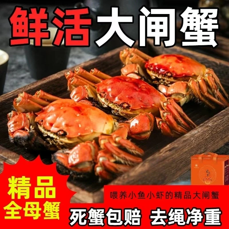 【活蟹】江苏大闸蟹3.1-2.7两公4只母4只共8只顺丰包邮活蟹C