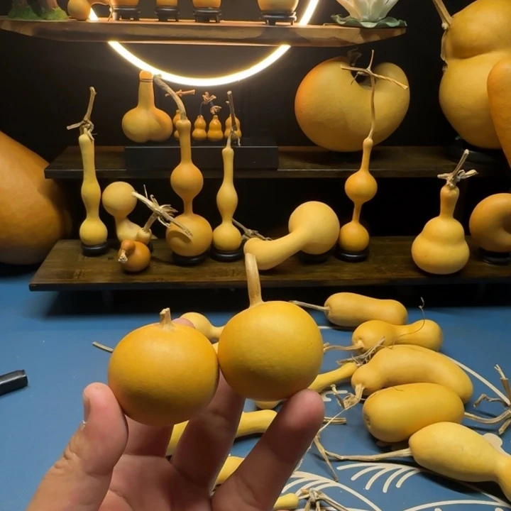浩***哥浩个48999999999葫芦