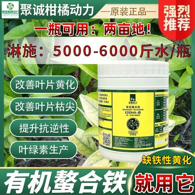 柑橘动力EDDHA有机螯合铁缺铁性黄化转绿高浓缩型微量元素