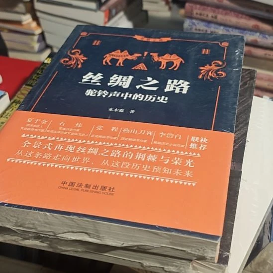 丝绸之路平装库存书