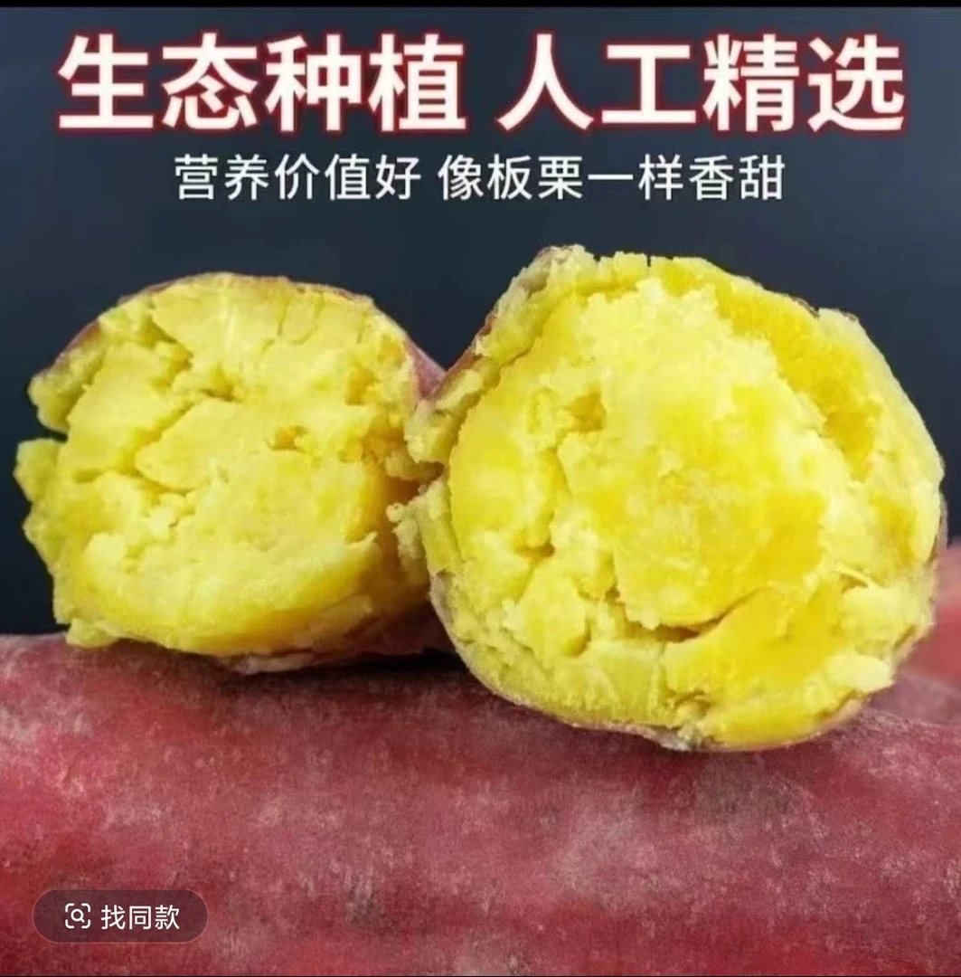 沙地粉糯板栗红薯新鲜香甜干面粉甜农家黄心地瓜