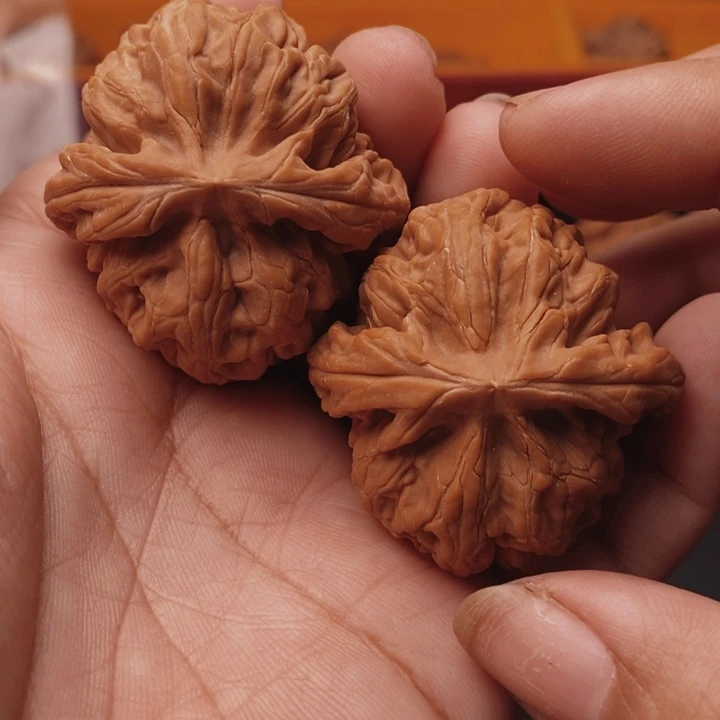 核桃红锦鲤42尺核桃