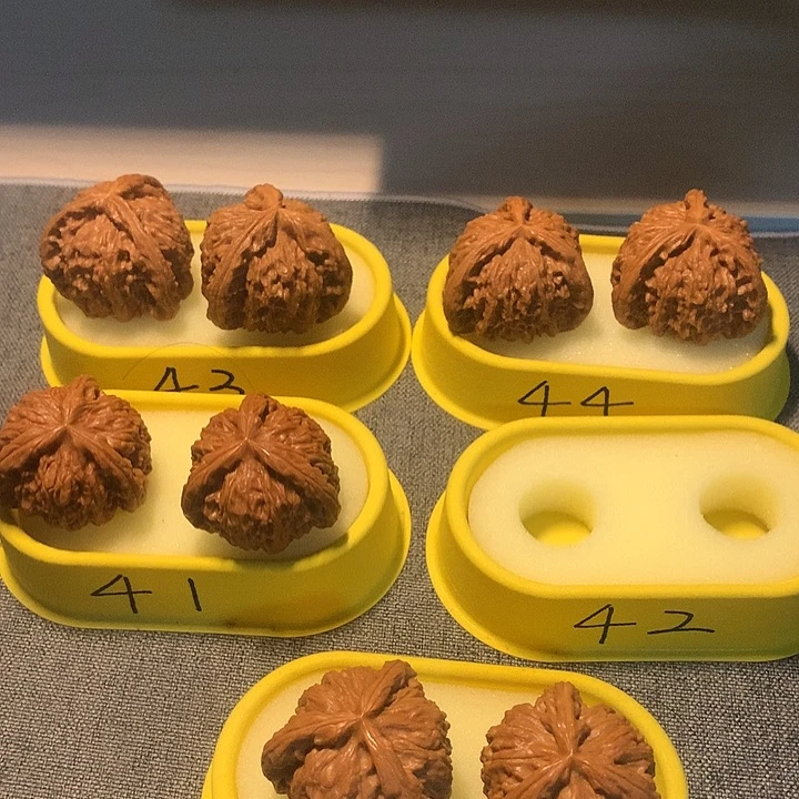 阿***。吊坠文玩核桃111111