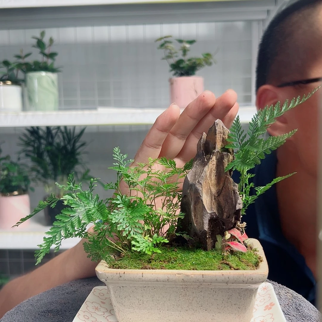 默***磊无花朵11
