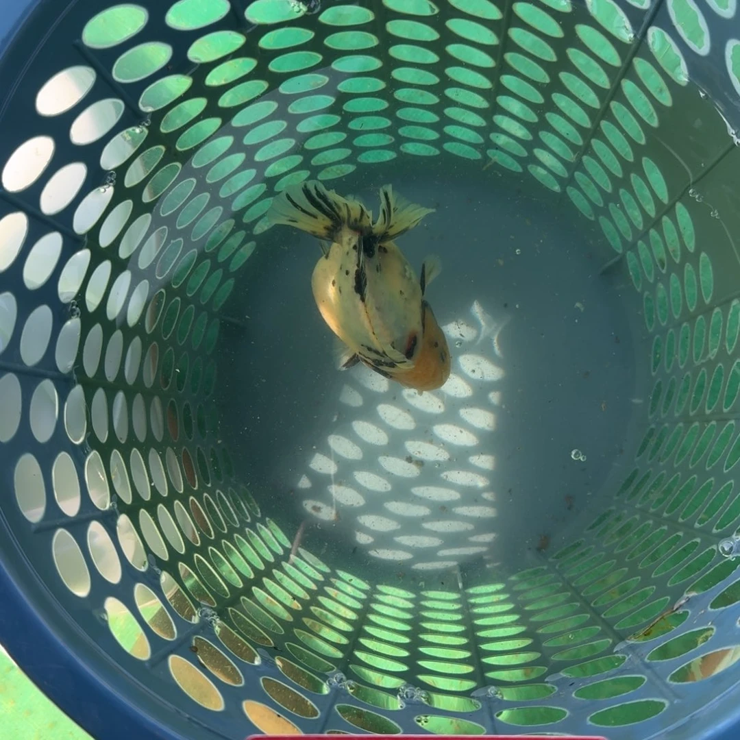 114包邮到家嘿嘿嘿嘿嘿嘿嘿嘿