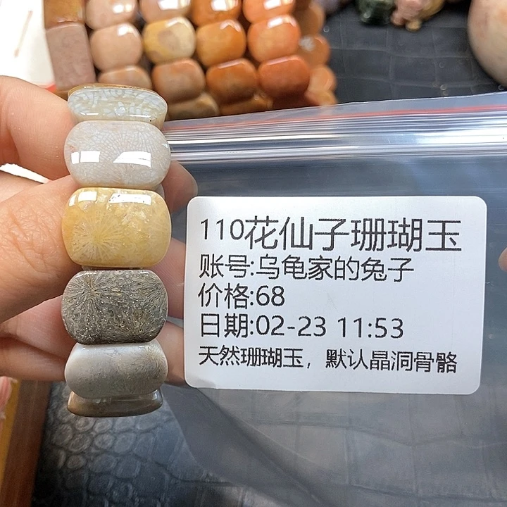 硅化珊瑚（珊瑚玉）手镯未镶嵌乌****子110