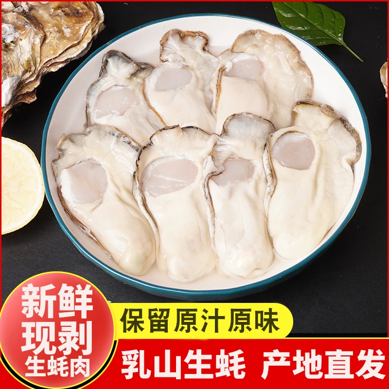 【现剥现发】乳山生蚝肉新鲜速冻牡蛎肉大特大海蛎子肉海鲜500g/罐