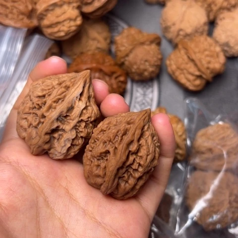 一***小把件文玩核桃蚂蚁王