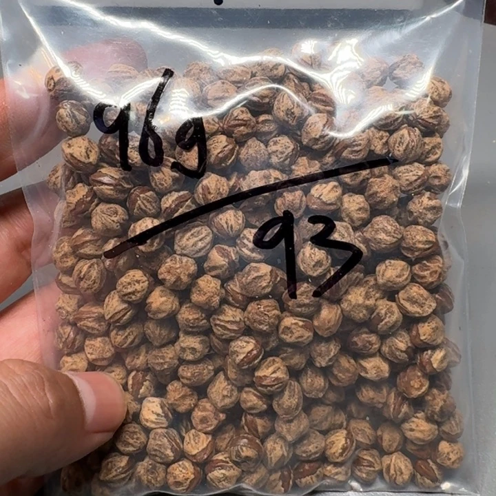 柏香籽/百香籽吊坠我***摇