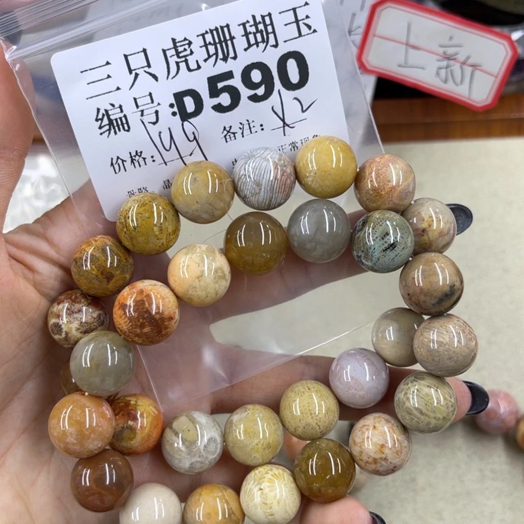*****未镶嵌h硅化珊瑚（珊瑚玉）
