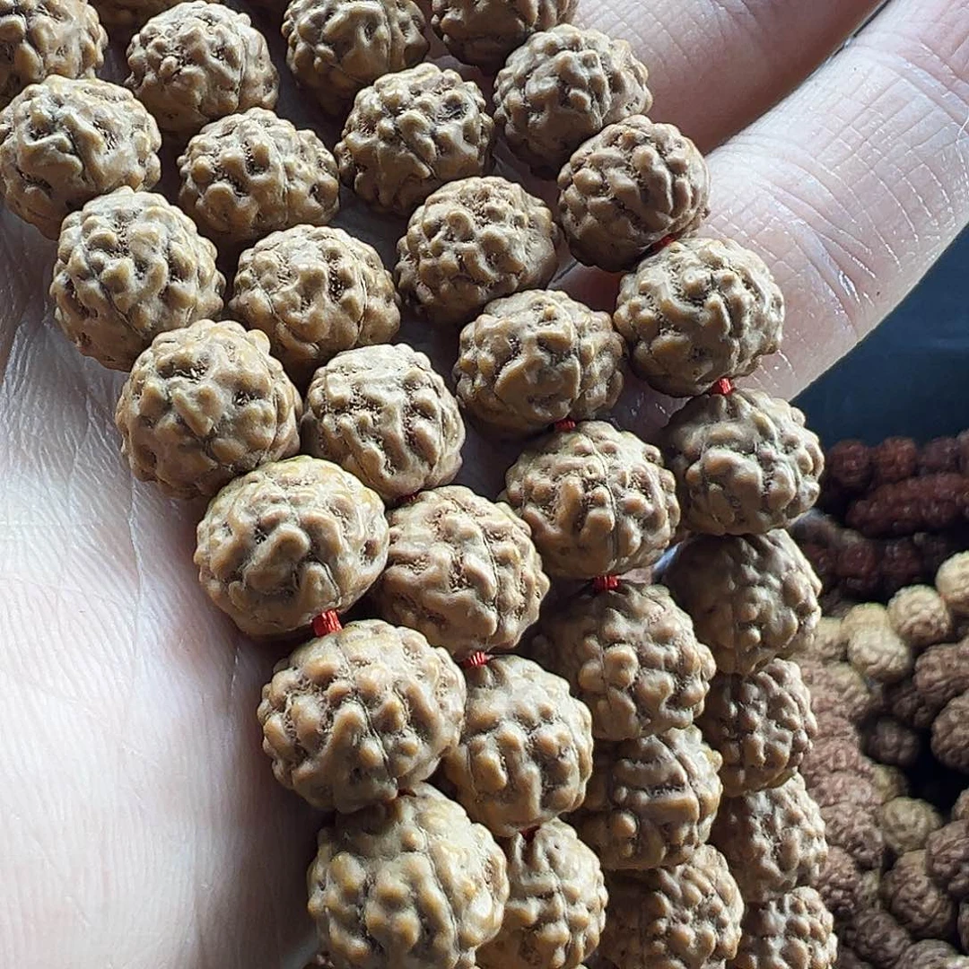 金刚菩提吊坠蛤蟆背