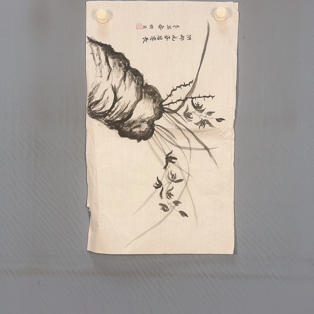 国画1152 牡丹仙子好帅