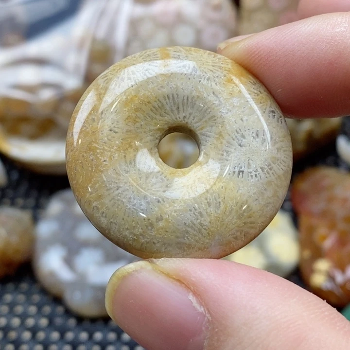 硅化珊瑚（珊瑚玉）颈饰未镶嵌A**A