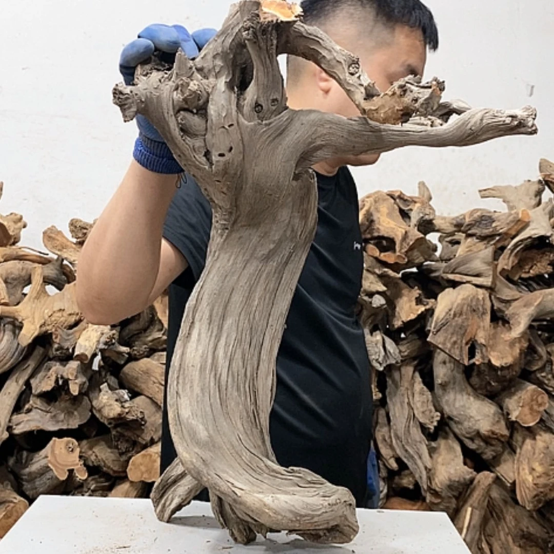【闪购商品】柏木至*宝我们都在努力着改变自己