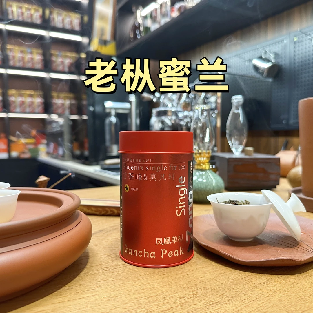 甘茶峰&莫凡轩【老枞蜜兰】潮州凤凰单丛单枞 罐装春季50g