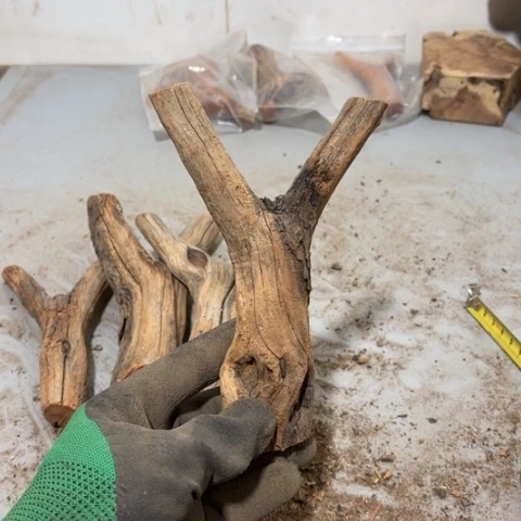 大果紫檀（缅甸花梨）鹏**?