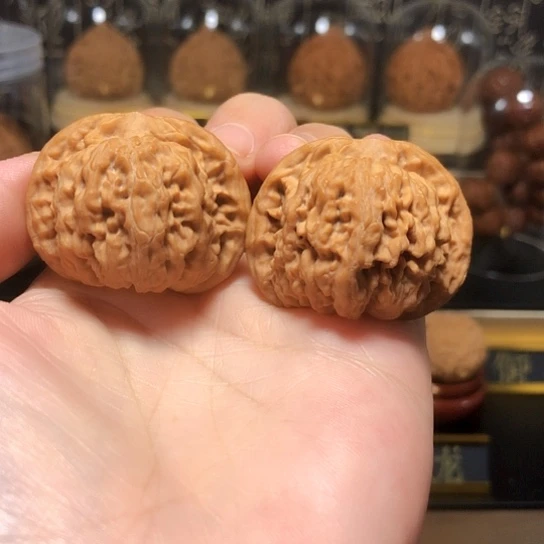 野生小众：第一矮全品