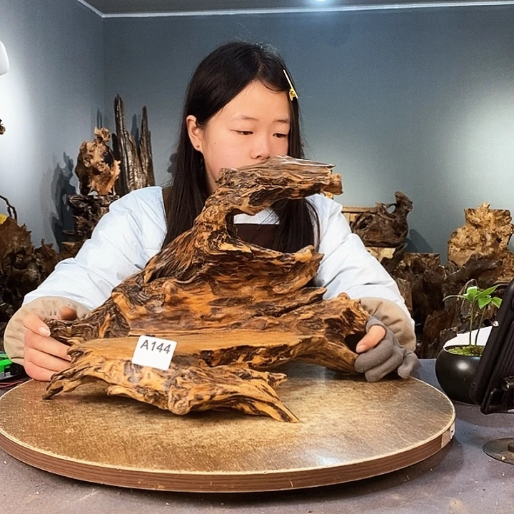 茶盏缘*144株木随行的小根艺