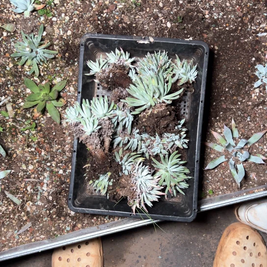 5535哈哈哈哈哈哈哈