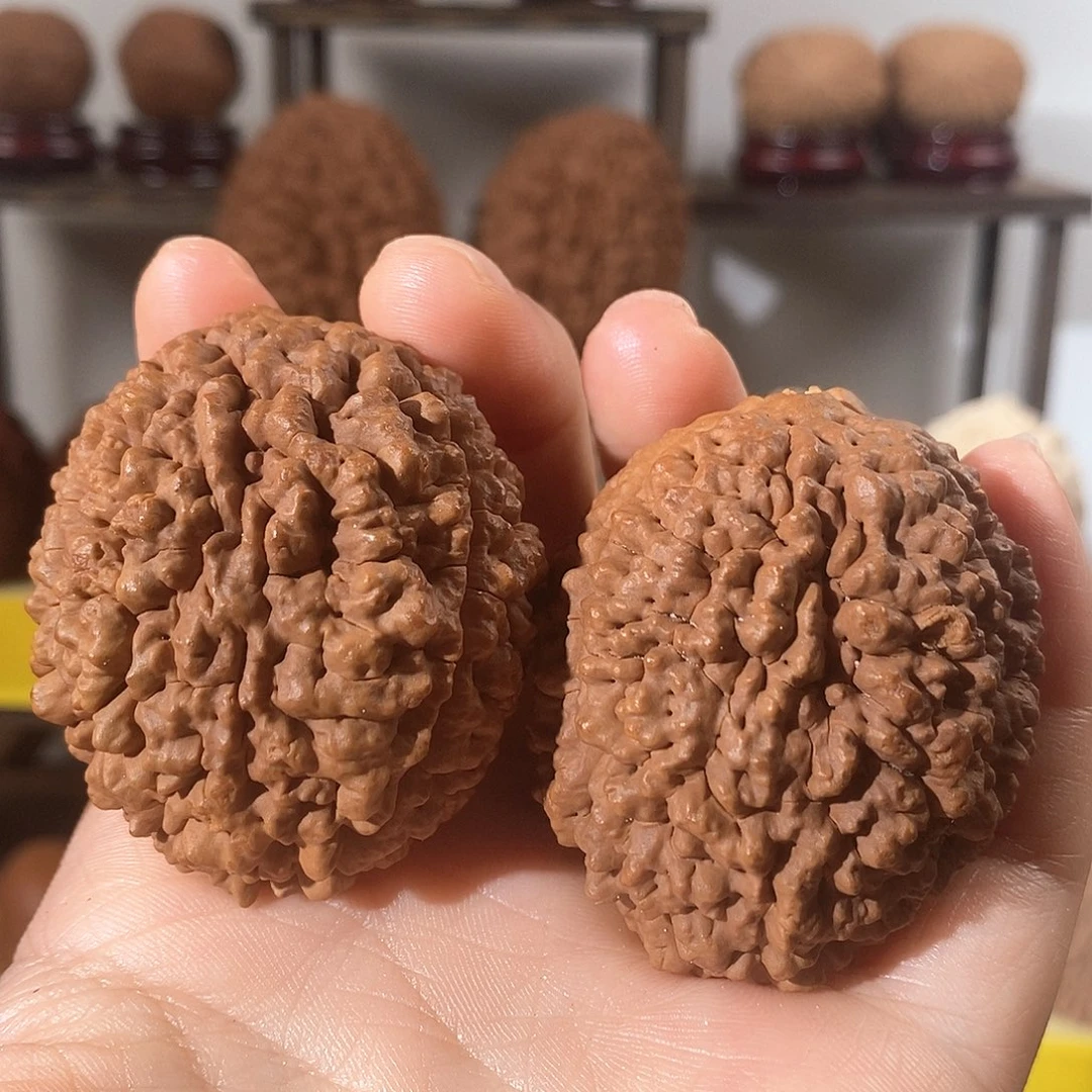 文玩核桃把件刺龙瑕4250