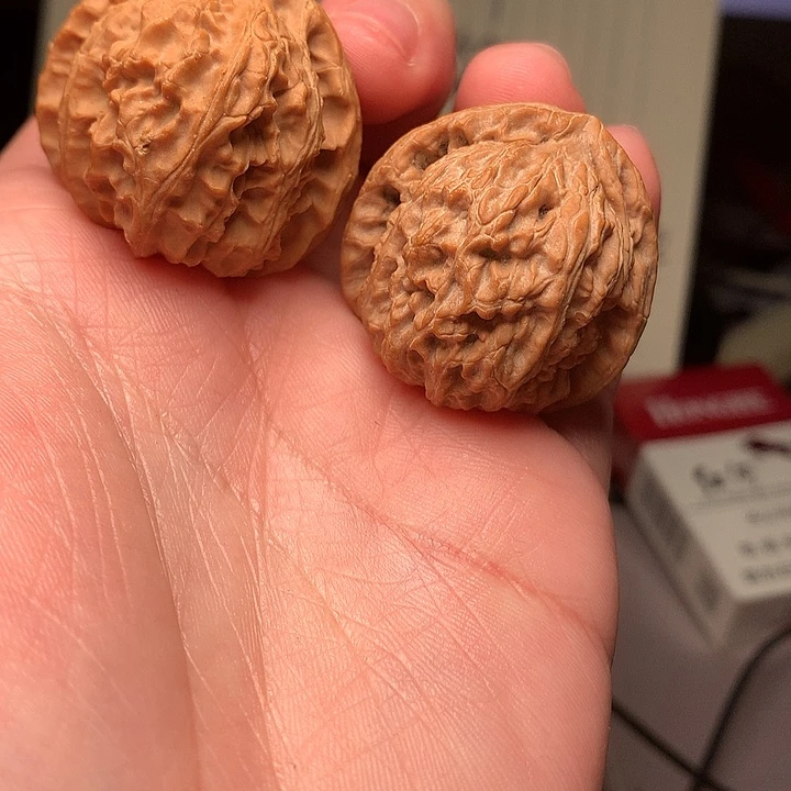 33尺寸全品三角白文玩核桃