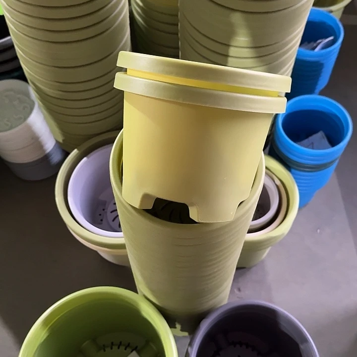 球根21口径10个无托果绿