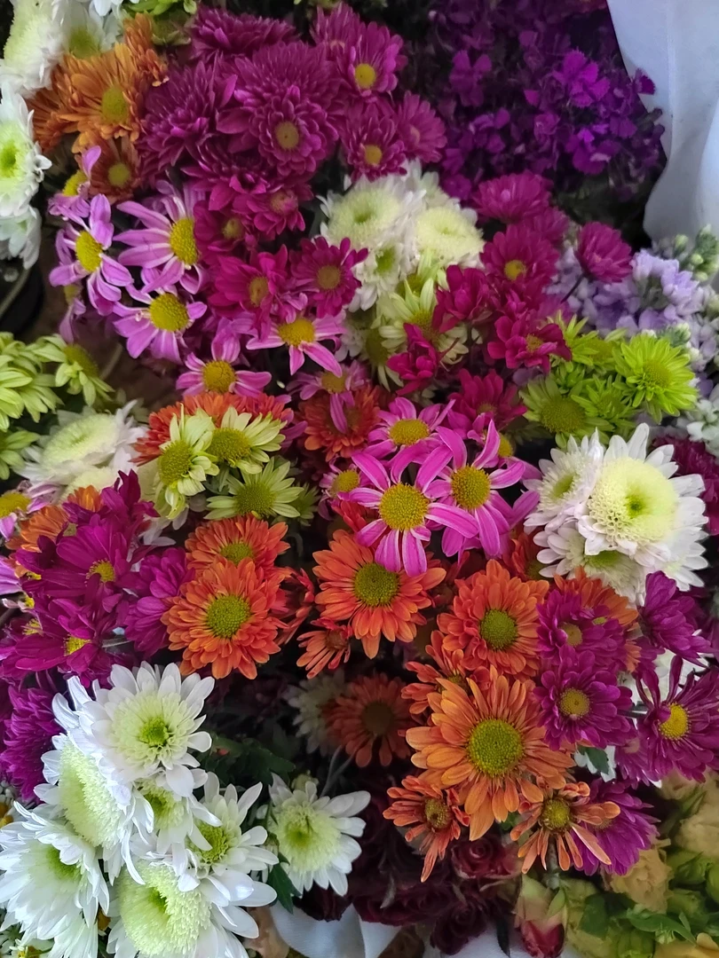 混色小菊拿回家插花瓶