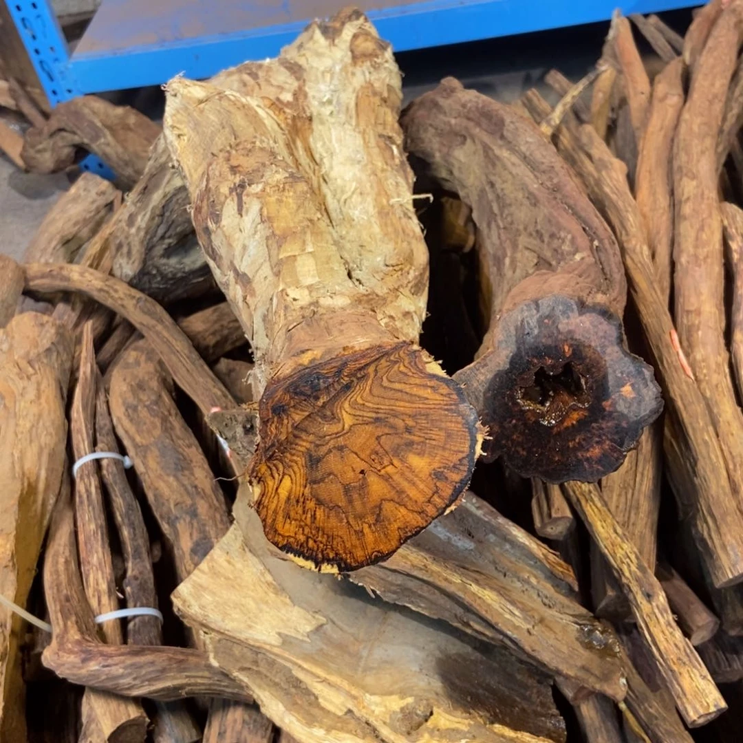 木庐****潮云南龙肝香15圆珠横纹
