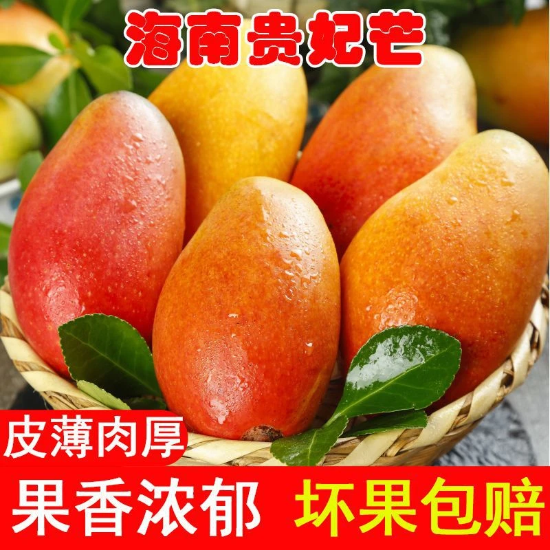 海南贵妃芒果当季热带水果新鲜现摘1-8.5斤红金龙甜心芒果