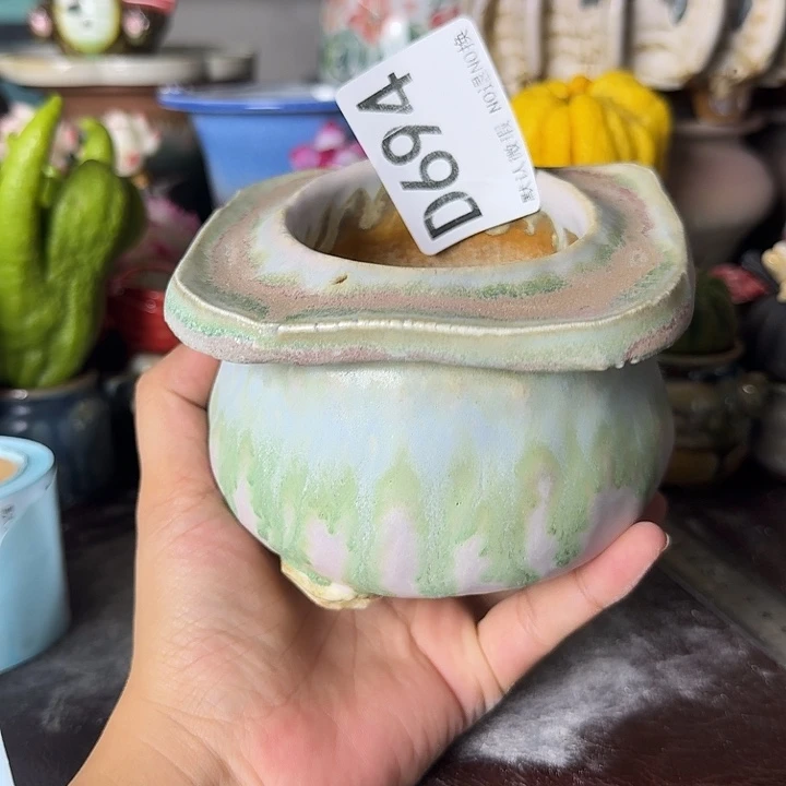 重庆小燕子欢迎大家694