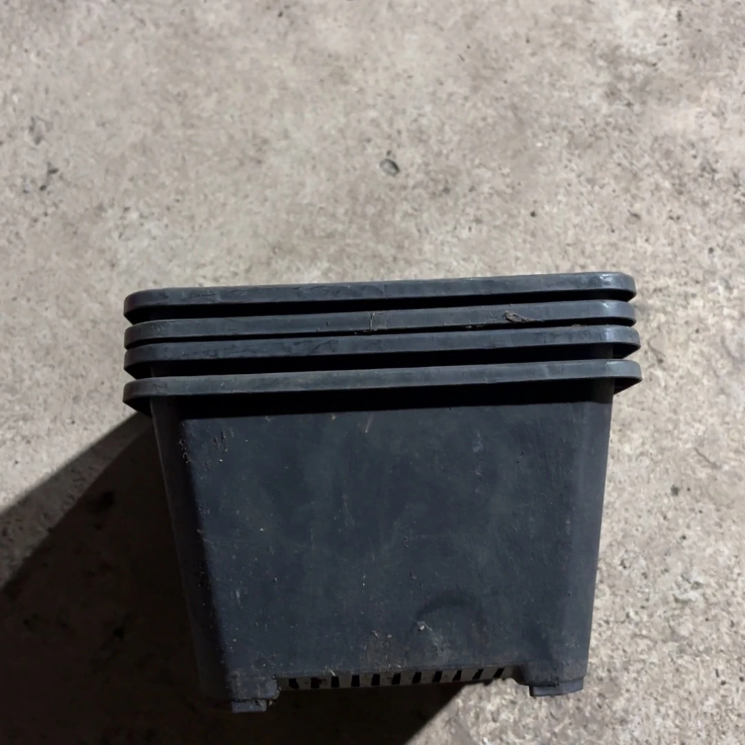 黑方盆180口径发20个