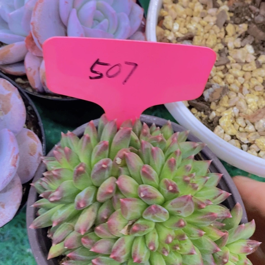 清货转场，一物一拍，看准