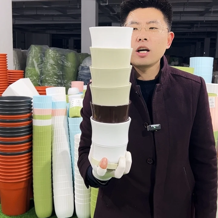 清仓竹节口12高12白色6只带托