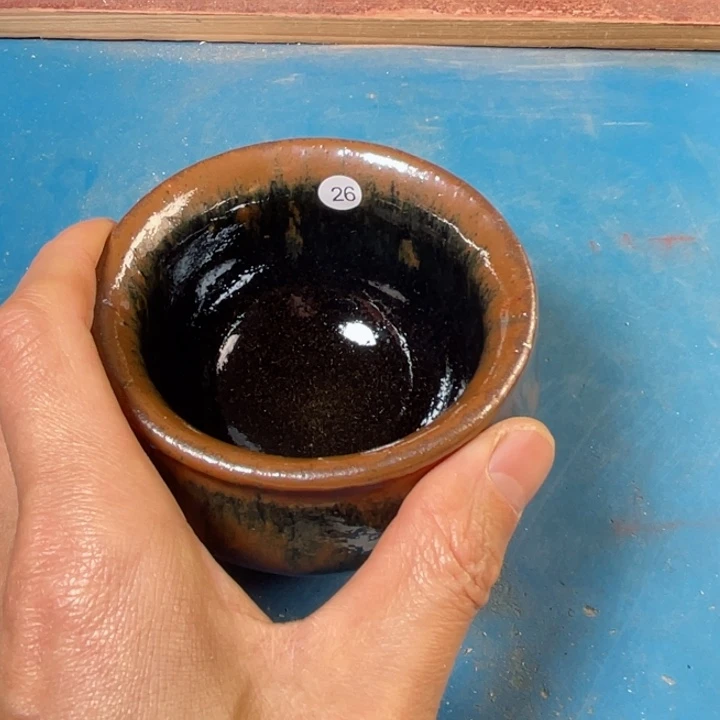 茶宠盏盏灯都是我的爱啊我