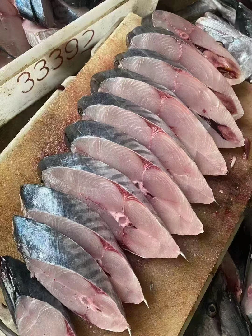 纯中段新鲜马鲛鱼