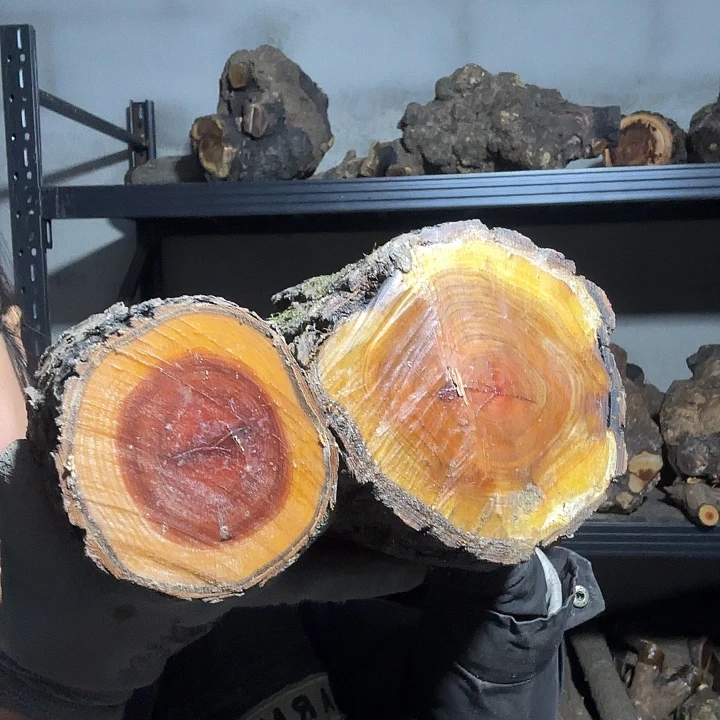 沈***子香榧木火琉璃的故事是一个