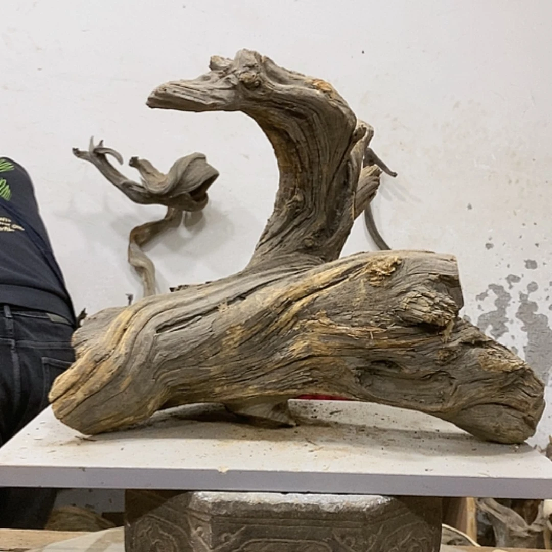 【闪购商品】柏木用****1我们都是好孩子