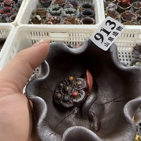 瓷片柴烧柴烧柴烧913