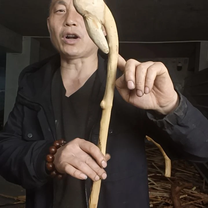 稳定木贵州檬子木   铁马鞭   根艺  半成品