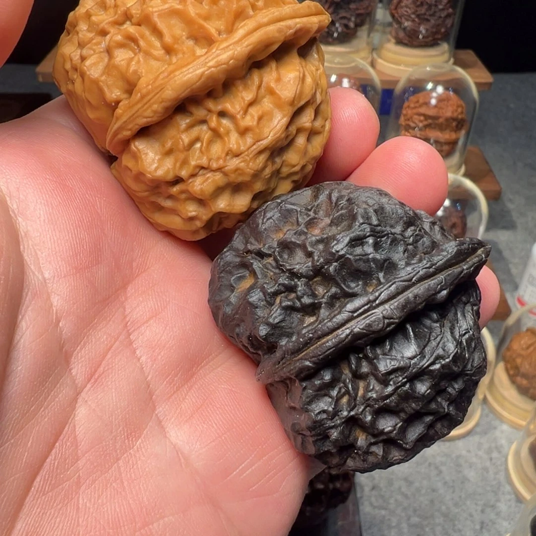 文玩核桃把件玄武48mm